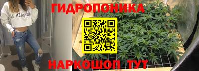 крисы Чапаевск