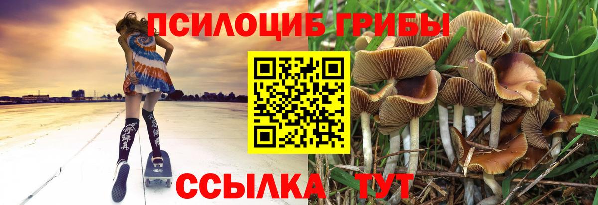 Бахчисарай  Псилоцибиновые грибы Psilocybine cubensis  Вход с VPN 
