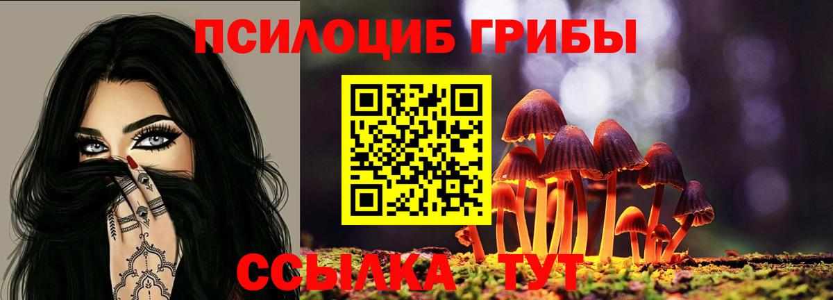 Псилоцибиновые грибы мицелий Бахчисарай
